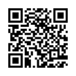 QR Code (код быстрого отклика)