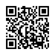 QR Code (код быстрого отклика)