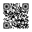 QR Code (код быстрого отклика)