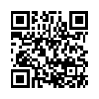 QR Code (код быстрого отклика)