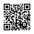 QR Code (код быстрого отклика)