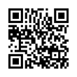 QR Code (код быстрого отклика)