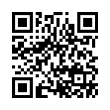 QR Code (код быстрого отклика)