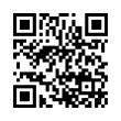 QR Code (код быстрого отклика)