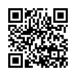 QR Code (код быстрого отклика)