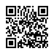 QR Code (код быстрого отклика)