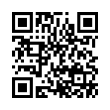 QR Code (код быстрого отклика)