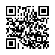 QR Code (код быстрого отклика)