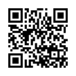 QR Code (код быстрого отклика)