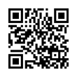 QR Code (код быстрого отклика)