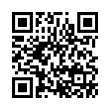 QR Code (код быстрого отклика)