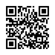 QR Code (код быстрого отклика)