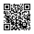 QR Code (код быстрого отклика)