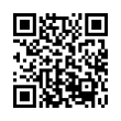 QR Code (код быстрого отклика)