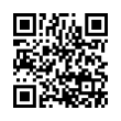 QR Code (код быстрого отклика)