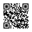 QR Code (код быстрого отклика)