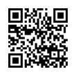 QR Code (код быстрого отклика)