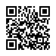 QR Code (код быстрого отклика)