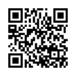 QR Code (код быстрого отклика)