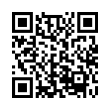 QR Code (код быстрого отклика)