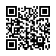 QR Code (код быстрого отклика)