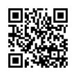 QR Code (код быстрого отклика)