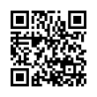 QR Code (код быстрого отклика)