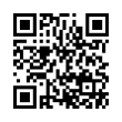 QR Code (код быстрого отклика)