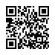 QR Code (код быстрого отклика)