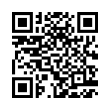 QR Code (код быстрого отклика)