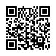 QR Code (код быстрого отклика)