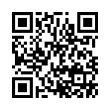 QR Code (код быстрого отклика)