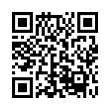 QR Code (код быстрого отклика)