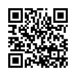 QR Code (код быстрого отклика)