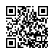 QR Code (код быстрого отклика)