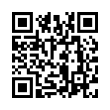 QR Code (код быстрого отклика)