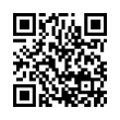 QR Code (код быстрого отклика)