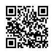 QR Code (код быстрого отклика)