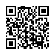 QR Code (код быстрого отклика)