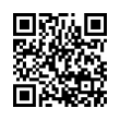 QR Code (код быстрого отклика)