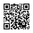 QR Code (код быстрого отклика)