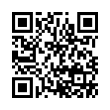 QR Code (код быстрого отклика)
