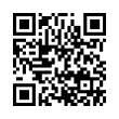 QR Code (код быстрого отклика)