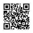 QR Code (код быстрого отклика)