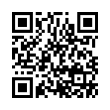 QR Code (код быстрого отклика)