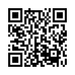 QR Code (код быстрого отклика)