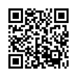 QR Code (код быстрого отклика)