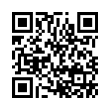 QR Code (код быстрого отклика)