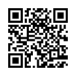 QR Code (код быстрого отклика)