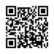 QR Code (код быстрого отклика)